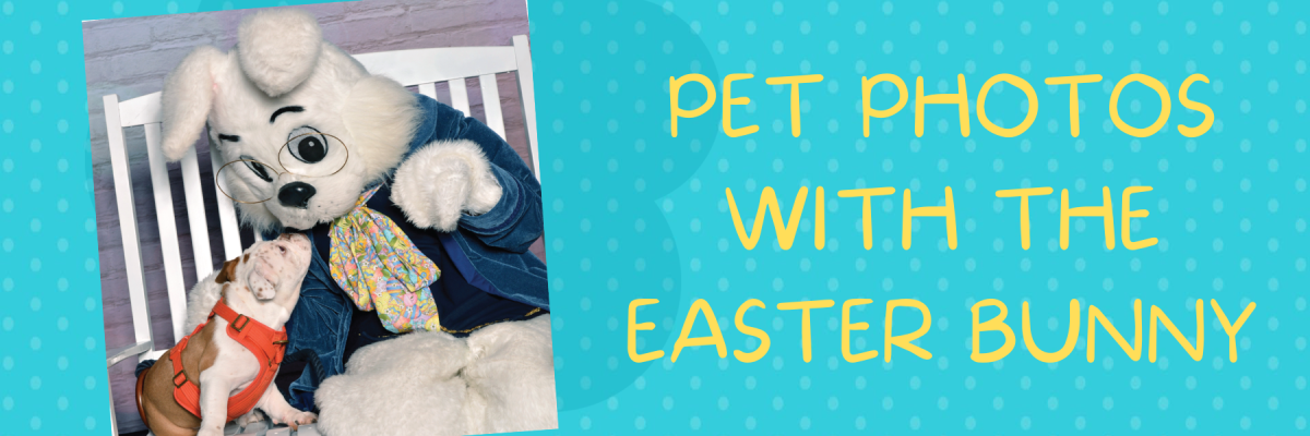 PET PHOTOS WITH THE EASTER BUNNY 1