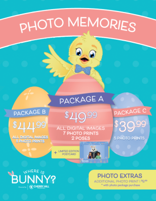 bunny photo pricing