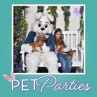 Pet Parties Wendell 04 1
